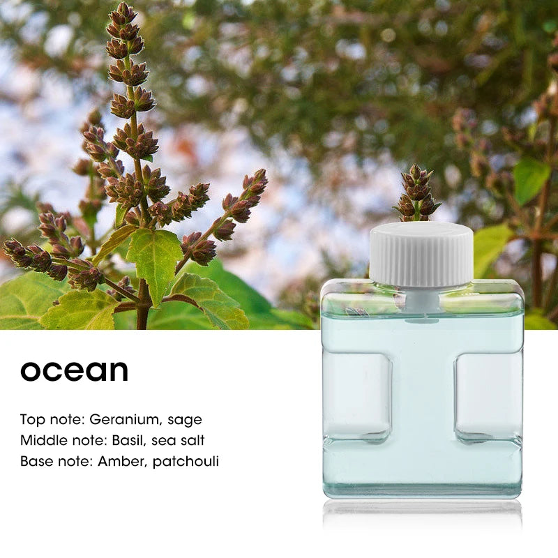 S352b758d85fb4acab43bea853697c9b4J